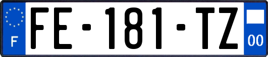 FE-181-TZ