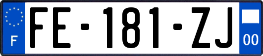 FE-181-ZJ