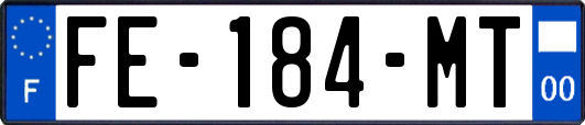 FE-184-MT