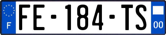 FE-184-TS
