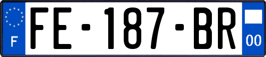 FE-187-BR