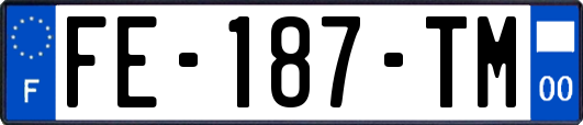 FE-187-TM