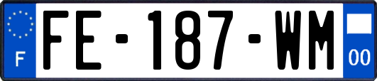 FE-187-WM