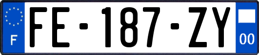 FE-187-ZY