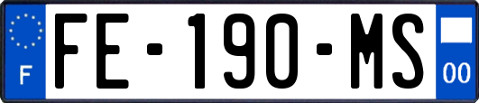 FE-190-MS