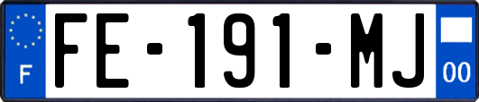 FE-191-MJ