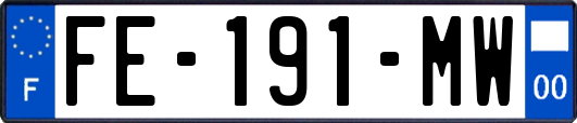 FE-191-MW