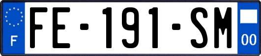 FE-191-SM