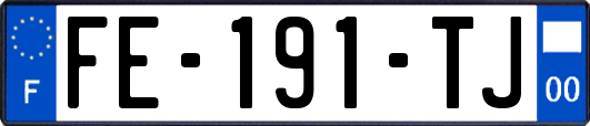 FE-191-TJ