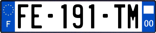 FE-191-TM