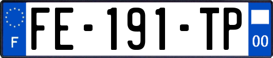 FE-191-TP