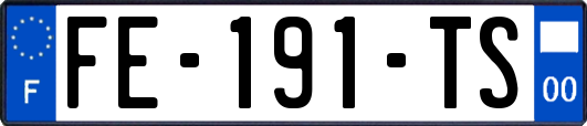 FE-191-TS