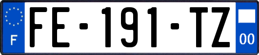 FE-191-TZ
