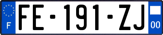 FE-191-ZJ