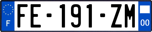 FE-191-ZM