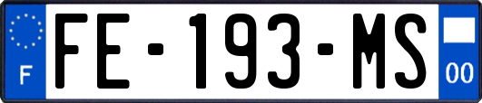 FE-193-MS