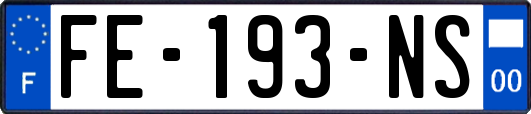 FE-193-NS