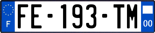 FE-193-TM