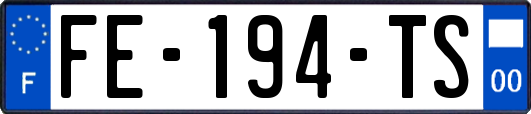 FE-194-TS