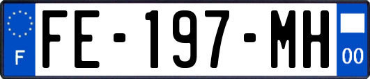 FE-197-MH