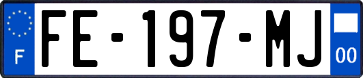 FE-197-MJ