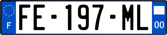 FE-197-ML
