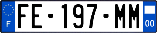 FE-197-MM