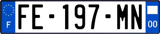 FE-197-MN