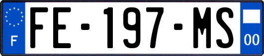FE-197-MS