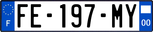 FE-197-MY