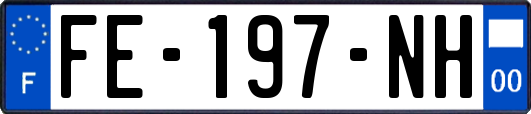 FE-197-NH