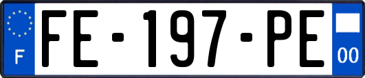 FE-197-PE