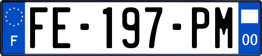 FE-197-PM
