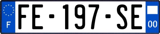 FE-197-SE