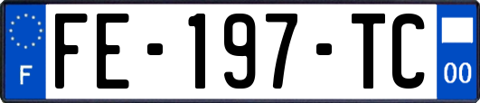 FE-197-TC