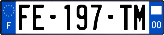 FE-197-TM