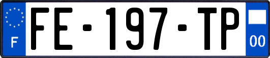 FE-197-TP
