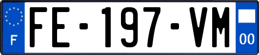 FE-197-VM