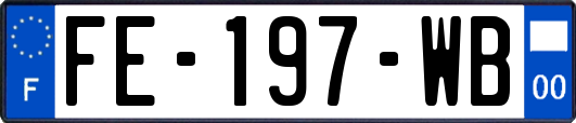 FE-197-WB