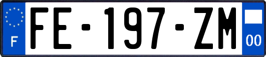 FE-197-ZM