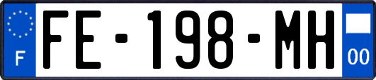 FE-198-MH