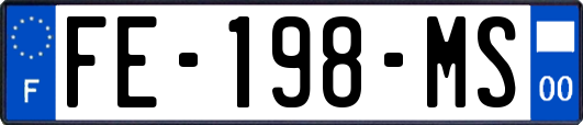 FE-198-MS
