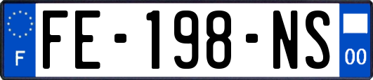 FE-198-NS