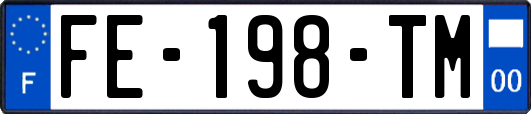 FE-198-TM