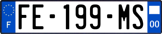 FE-199-MS