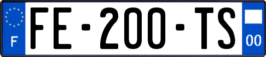 FE-200-TS