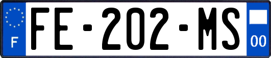FE-202-MS