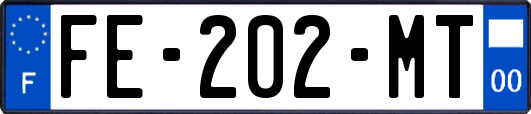 FE-202-MT