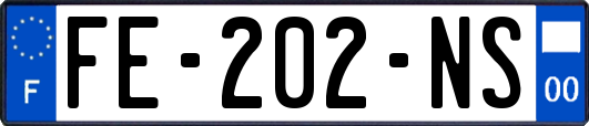 FE-202-NS