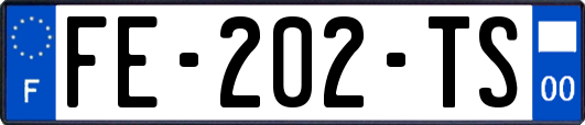 FE-202-TS